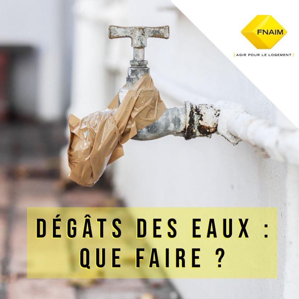 https://www.barre-immobilier.com/innovation/uploads/2020/10/degat.jpg